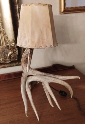 Whitetail deer antler lamp - whitetail,