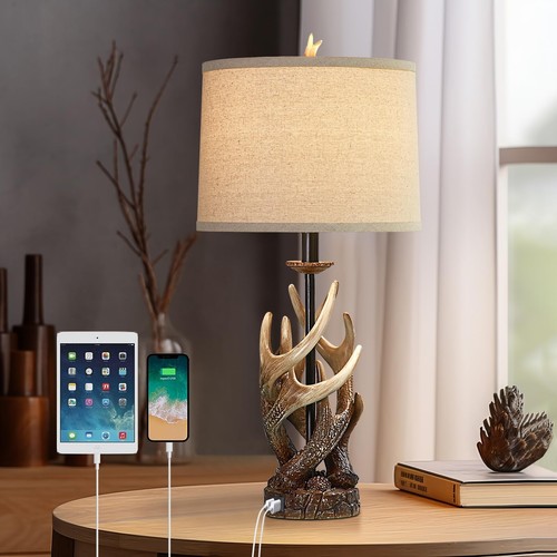 Rustic farmhouse table - rustic, lamp